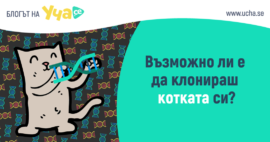 klonirani-jivotni