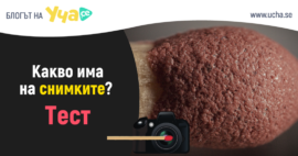 Можеш ли да разпознаеш тези предмети отблизо