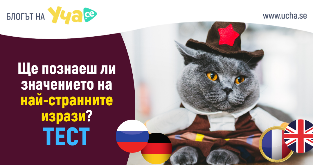 Можеш ли да познаеш какво означават тези идиоми