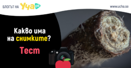 ще разпознаеш ли тези предмети от близо