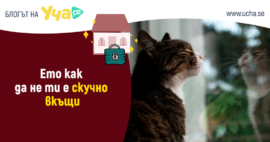 Вкъщи