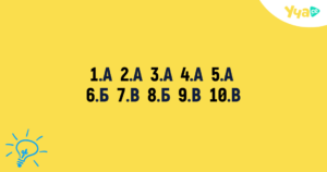 macro-snimki-2