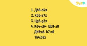 Визии за компании
